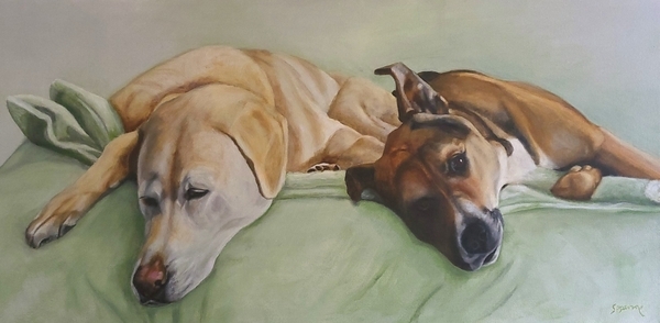 "Sleepy Time" 2024 Top Finalist